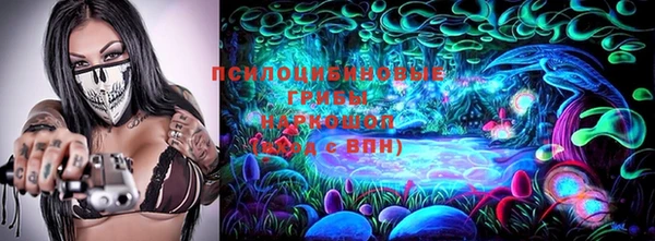ПСИЛОЦИБИНОВЫЕ ГРИБЫ Богородск