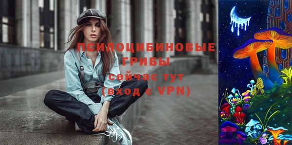 метамфетамин Богданович