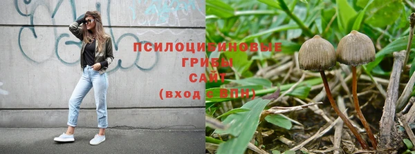 соль ск Богородицк