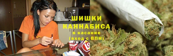 соль ск Богородицк